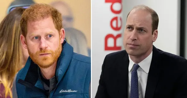 Prince Harry 'Deeply Devastated' by Feud with Prince William