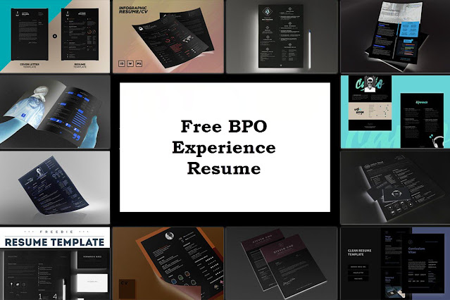 Free BPO Experience Resume