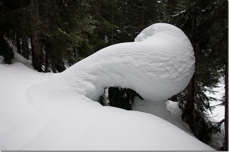 Beaver Lake-3