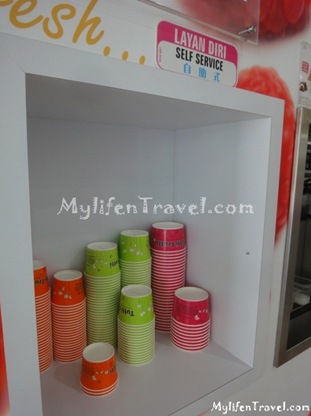 Tutti Frutti Yogurt 29