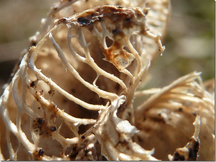 P1170945