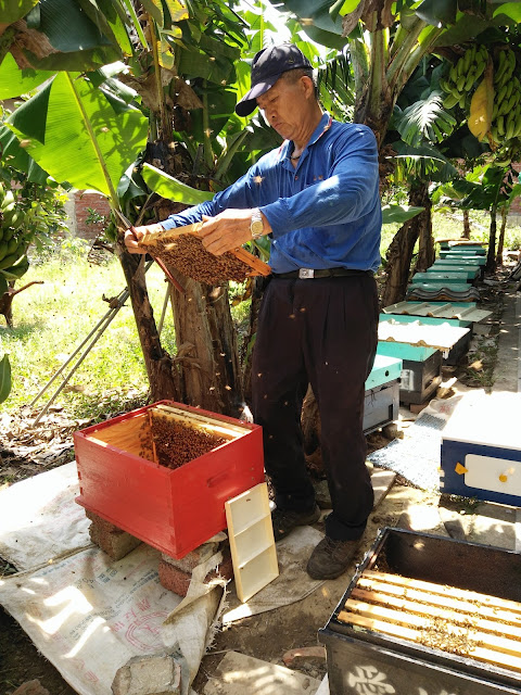 愛蜂園,台灣養蜂場,健康伴手禮,天然蜂蜜,蜂花粉,蜂蜜醋,蜂蜜蛋糕,蜂王乳,蜂王漿,台灣養蜂協會會員,客製化禮盒,台灣蜂蜜,純蜂蜜,蜂蜜檸檬,產品經SGS檢驗合格,