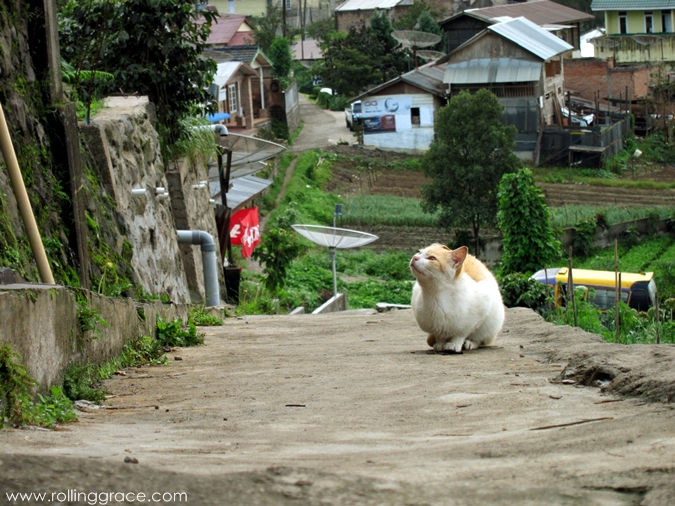 Gundaling Hill Berastagi