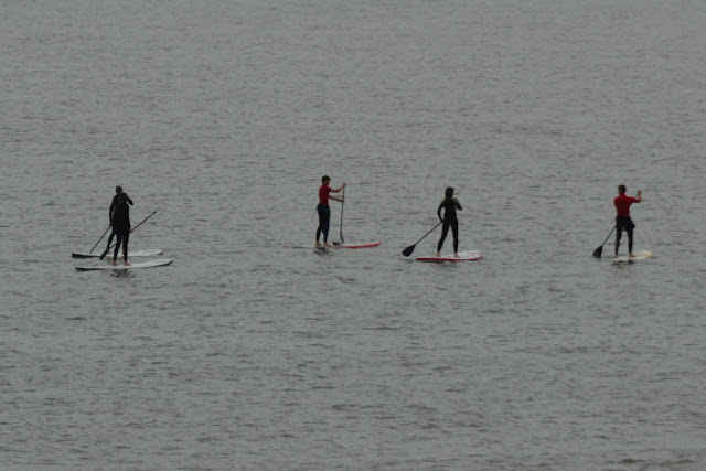 O'Neill Beach Club Blankenberge Paddle