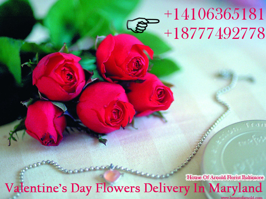 http://www.houseofarnold.com/baltimore-maryland-florist/valentines-day-94c.asp?topnav=LeftNav