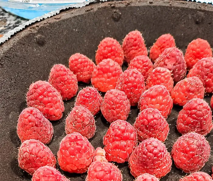 fresh raspberries in pie crust