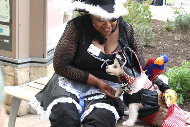 Dogtoberfest 043