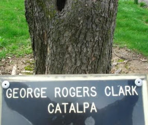George Rogers Clark catalpa