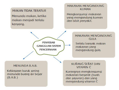  Materi dan Kunci Jawaban Tematik Kelas  Materi dan Kunci Jawaban Tematik Kelas 5 Tema 3 Subtema 2 Halaman 74, 75, 76, 77