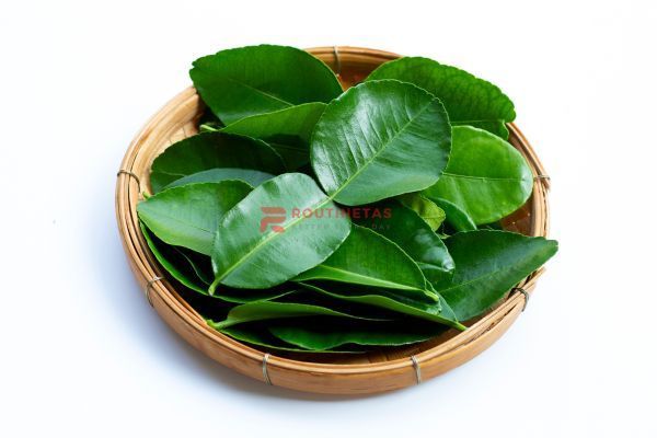 manfaat-daun-jeruk-nipis