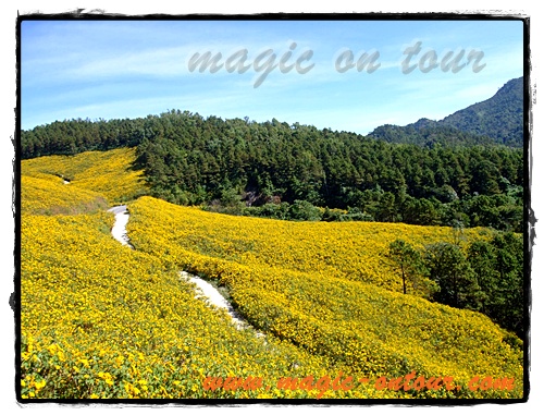 photo magic