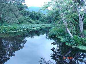 MEDIO AMBIENTE EN HONDURAS