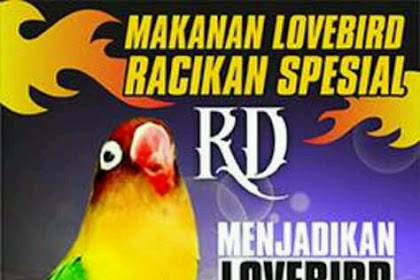 Pakan RD terbukti membuat Lovebird Konslet & Fighter Ala om Ari ONE SF