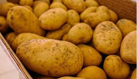 Tips Pilih Kentang yang Sehat, Jelang Lebaran Aneka Kreasi Resep Masakan Indonesia, HorasSumutNews.com - Berita Terkini Terbaru Hari Ini - Kentang termasuk umbi-umbian yang digemari banyak orang. Kentang dapat dikonsumsi sebagai pengganti nasi maupun menjadi bahan pendamping sebuah masakan. Namun, ada beberapa hal yang perlu diperhatikan sebelum mengkonsumsi kentang. Berikut tips memilih kentang yang dilansir dari laman eHow.