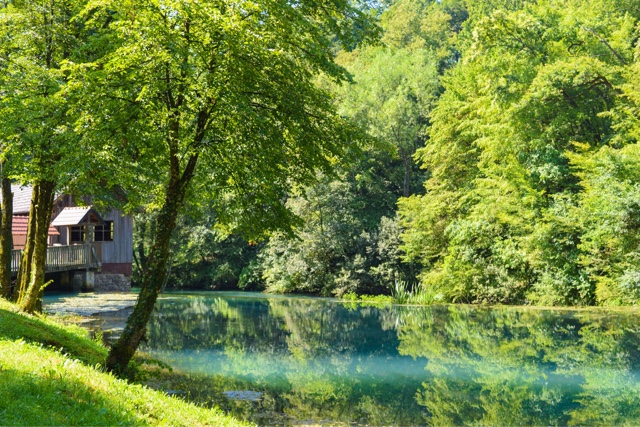 slovenia rivers trees