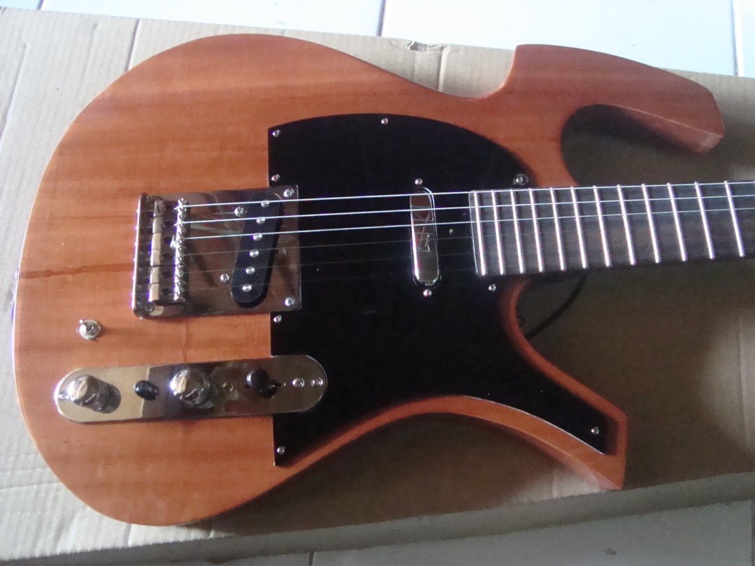 Axel Online Music Store: Gitar Parker P36