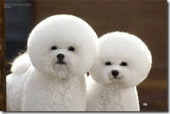 anoth funny pics (5)