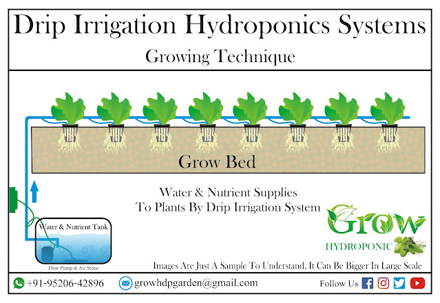 Hydroponics Drip System ड्रिप