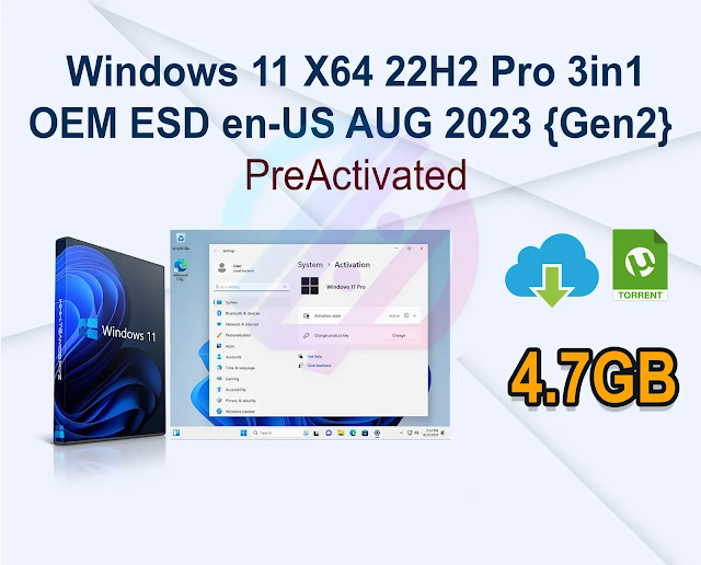 Windows 11 X64 22H2 Pro 3in1 OEM ESD en-US AUG 2023 {Gen2}