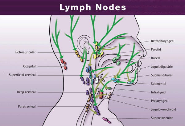 allergic fungal sinusitis imaging sinus antibiotics names