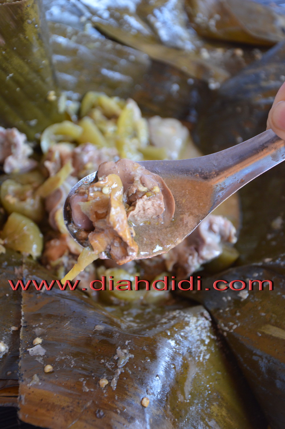  Diah  Didi  s Kitchen Garang Asem  Ayam  Sarirasa Garang 