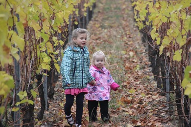 Alsace Oct 09 (148)