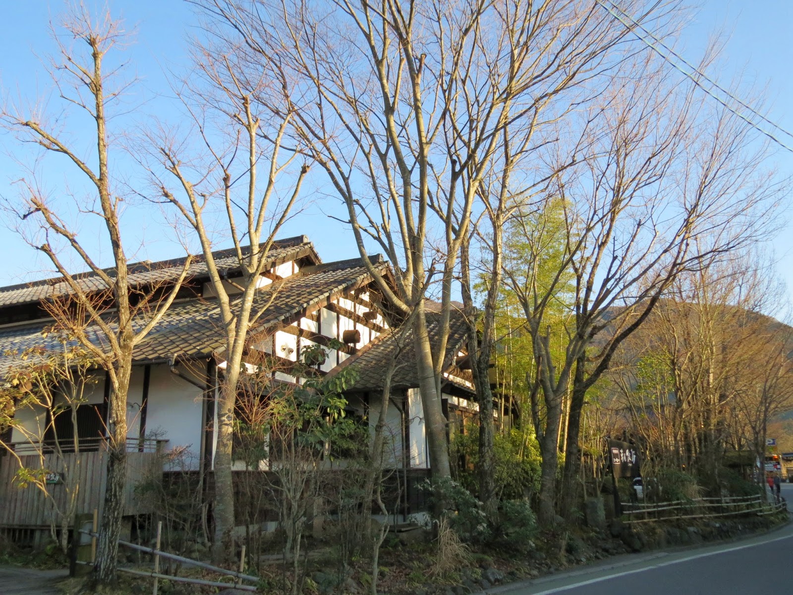Mrsakwok S Blog 九州由布院溫泉旅館草庵秋櫻