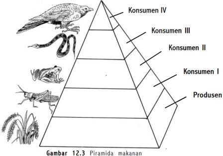 Pengertian Konsumen