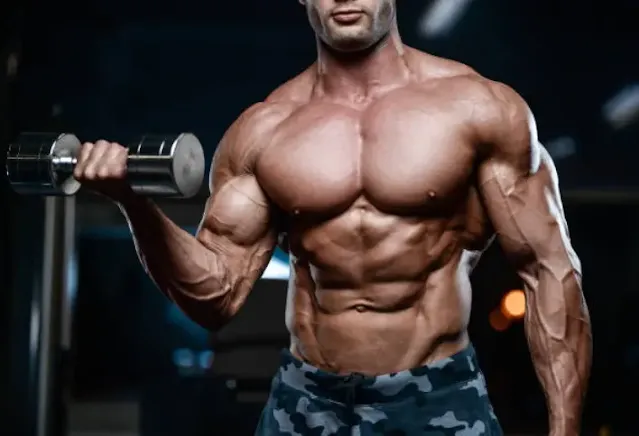 The Ultimate Guide to Building a Muscular Chest: Effective Chest Workouts and Exercises