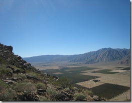 IMG_6590 IMG_6590