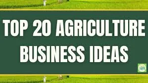 The Secrets of Entrepreneurship in Agriculture