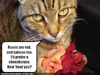 Valentine Cat Card