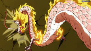 ワンピース アニメ 1076話 モモの助 | ONE PIECE Episode 1076