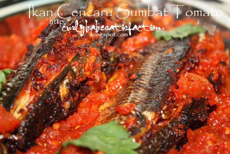 Curlybabe's Satisfaction: Ikan Cencaru Sumbat Tomato