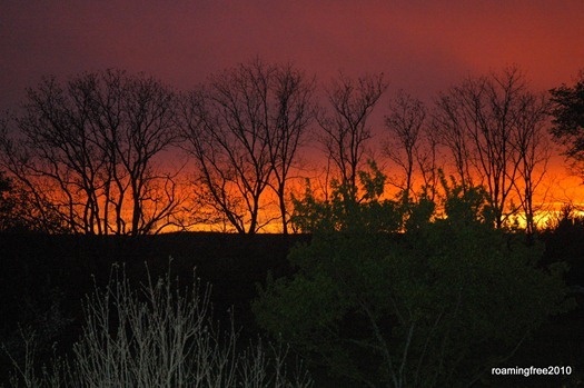 sunset