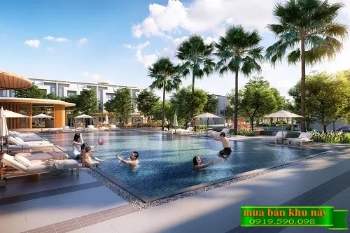 Hồ bơi