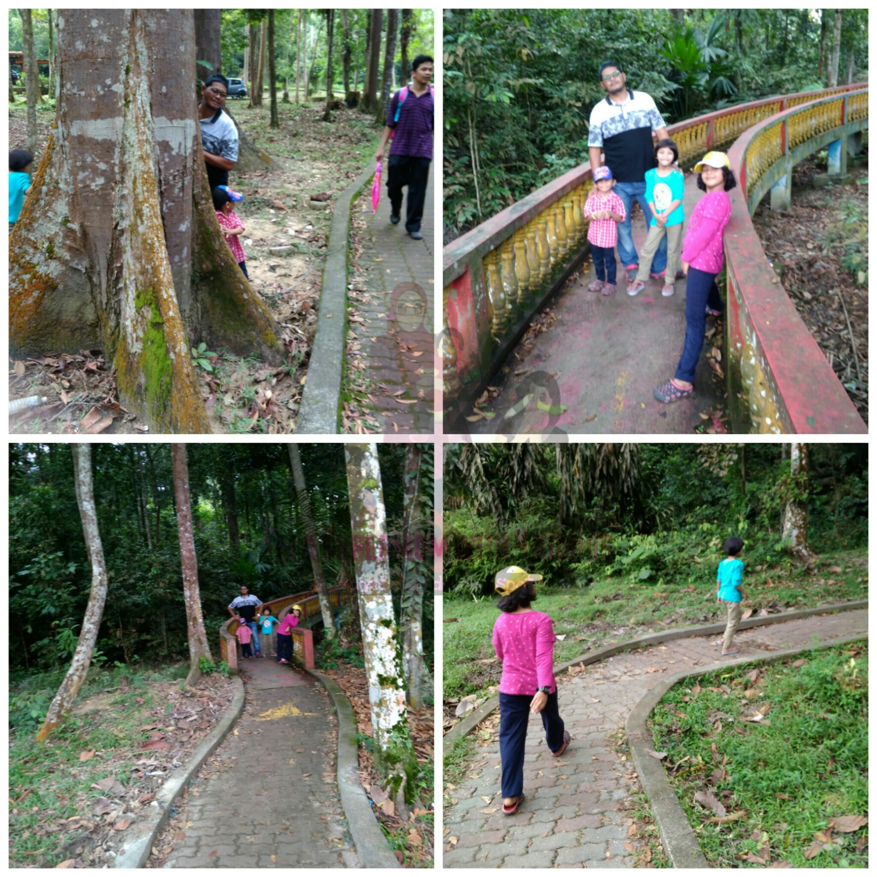 [Entri Bergambar] Jalan-jalan membakar lemak di Taman Botani Negara, Shah Alam.