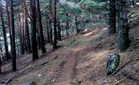 ¿Nos acompañas mañana en nuestra ruta a la Hoya de San Juan?