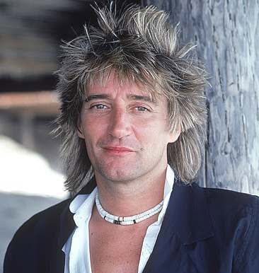 Rod Stewart hairstyle.