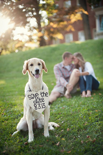 save the date wedding ideas