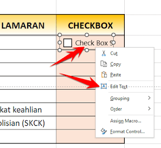 Membuat Check Box Kotak Ceklist di Excel