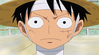 ワンピースアニメ 509話 ルフィ Monkey D. Luffy | ONE PIECE Episode 509