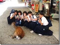 09Japan-Nara 223