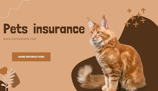 Pets insurance in Pakistan 2024