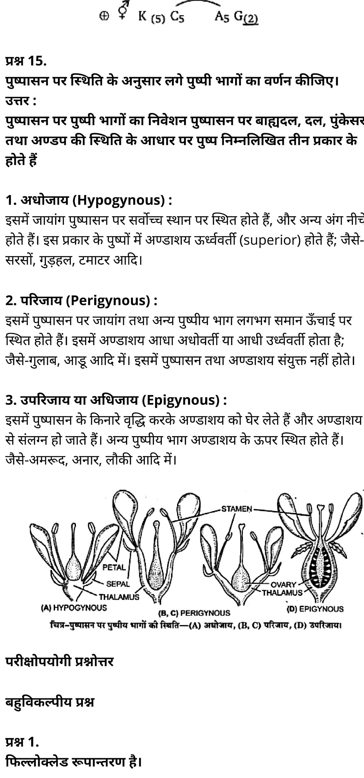 कक्षा 11 जीव विज्ञान अध्याय 5 के नोट्स हिंदी में एनसीईआरटी समाधान,   class 11 Biology Chapter 5,  class 11 Biology Chapter 5 ncert solutions in hindi,  class 11 Biology Chapter 5 notes in hindi,  class 11 Biology Chapter 5 question answer,  class 11 Biology Chapter 5 notes,  11   class Biology Chapter 5 in hindi,  class 11 Biology Chapter 5 in hindi,  class 11 Biology Chapter 5 important questions in hindi,  class 11 Biology notes in hindi,  class 11 Biology Chapter 5 test,  class 11 BiologyChapter 5 pdf,  class 11 Biology Chapter 5 notes pdf,  class 11 Biology Chapter 5 exercise solutions,  class 11 Biology Chapter 5, class 11 Biology Chapter 5 notes study rankers,  class 11 Biology Chapter 5 notes,  class 11 Biology notes,   Biology  class 11  notes pdf,  Biology class 11  notes 2021 ncert,  Biology class 11 pdf,  Biology  book,  Biology quiz class 11  ,   11  th Biology    book up board,  up board 11  th Biology notes,  कक्षा 11 जीव विज्ञान अध्याय 5, कक्षा 11 जीव विज्ञान का अध्याय 5 ncert solution in hindi, कक्षा 11 जीव विज्ञान  के अध्याय 5 के नोट्स हिंदी में, कक्षा 11 का जीव विज्ञान अध्याय 5 का प्रश्न उत्तर, कक्षा 11 जीव विज्ञान अध्याय 5 के नोट्स, 11 कक्षा जीव विज्ञान अध्याय 5 हिंदी में,कक्षा 11 जीव विज्ञान  अध्याय 5 हिंदी में, कक्षा 11 जीव विज्ञान  अध्याय 5 महत्वपूर्ण प्रश्न हिंदी में,कक्षा 11 के जीव विज्ञानके नोट्स हिंदी में,जीव विज्ञान  कक्षा 11 नोट्स pdf,