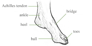 How to draw feet