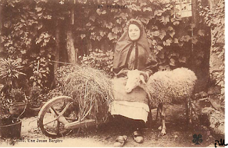 pays basque bergère agricuture mouton