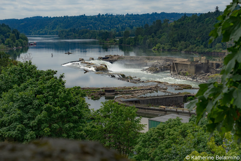 Willamette Falls from McLoughlin Promenade Things to Do In Oregon City and Mt. Hood Territory