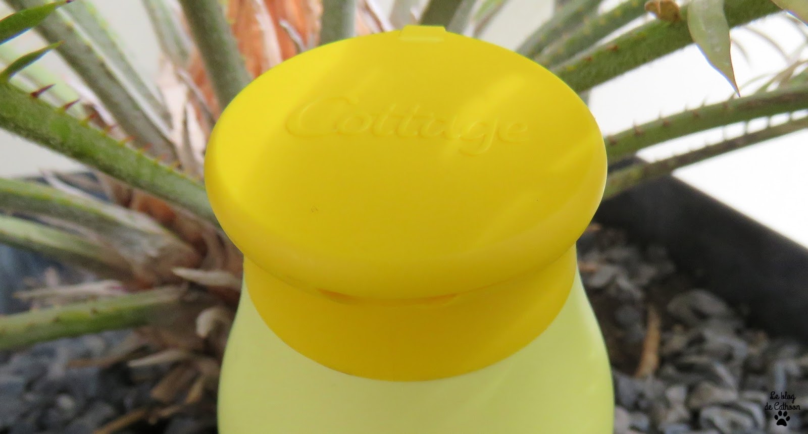 Citron Gourmand - Douche Lait Hydratant - Cottage