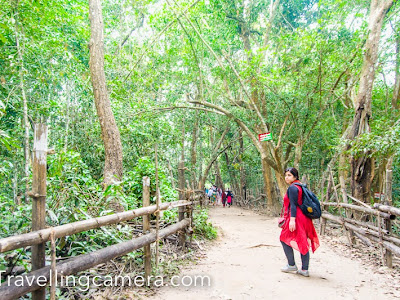 One day trip places in kerala near me 116817-Which is the best place for one day trip in kerala